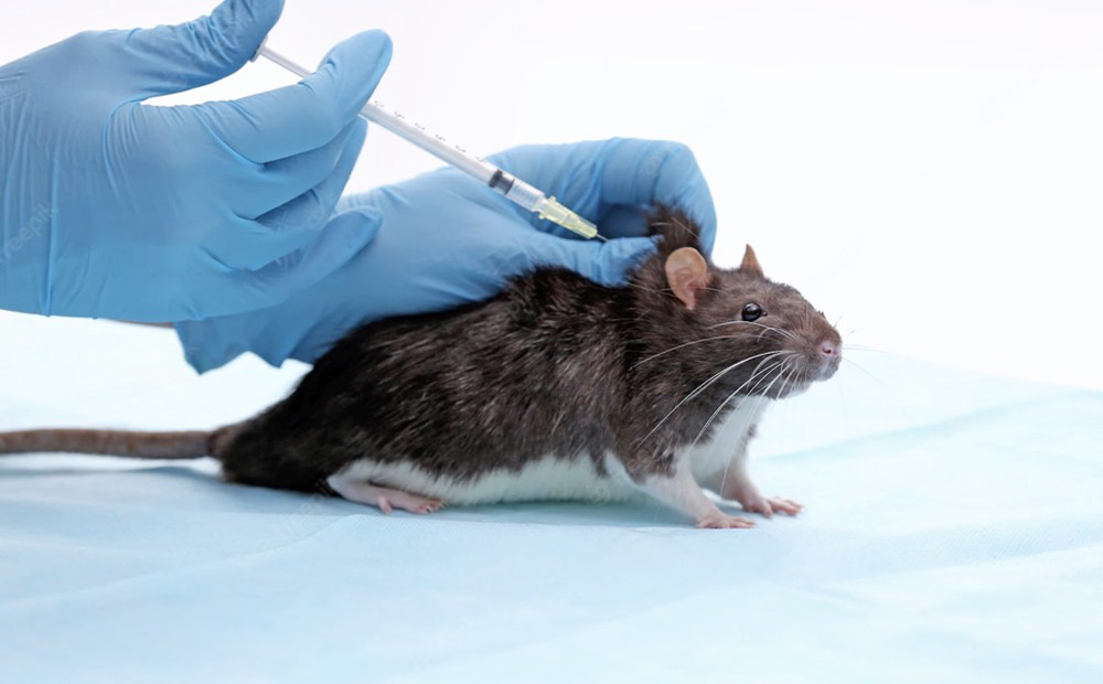 Section4.Tab1-Overall Animal Level